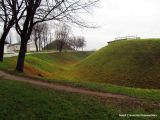 Image of landscape