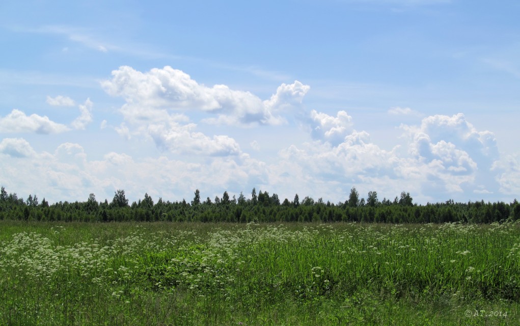 Жарь, image of landscape/habitat.