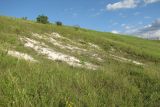 Image of landscape