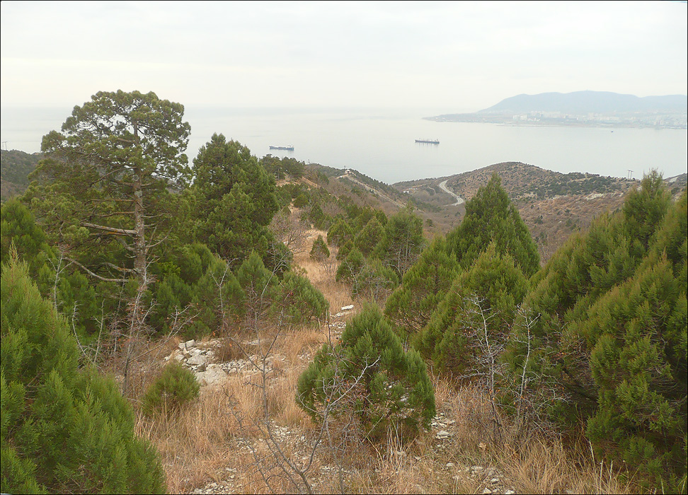 Окрестности мыса Шесхарис, image of landscape/habitat.
