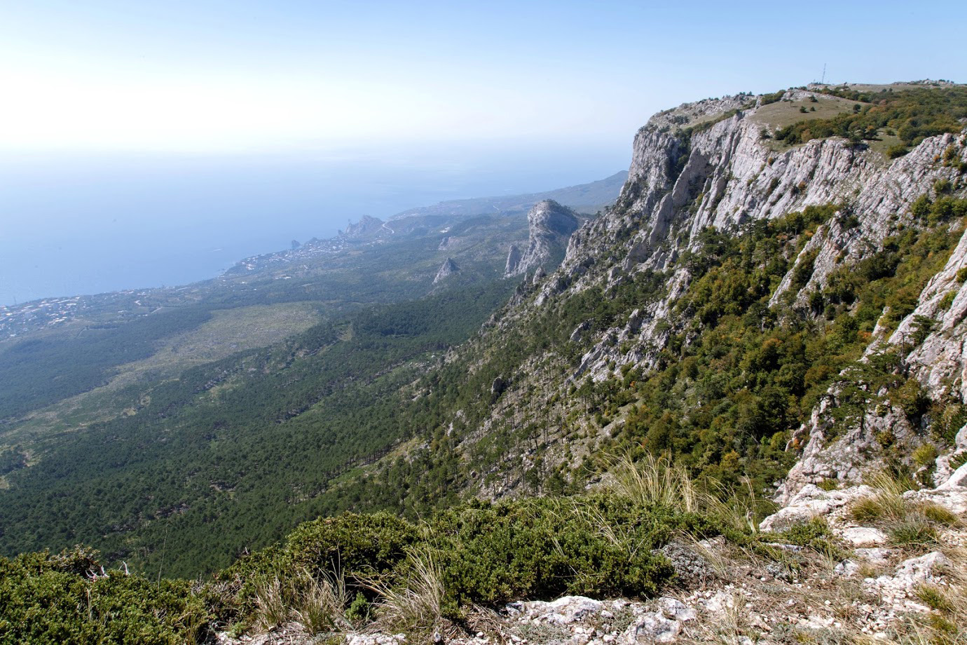 Ай-Петринская яйла, image of landscape/habitat.