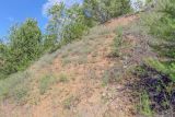 Image of landscape