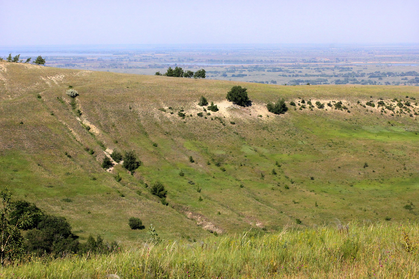 Белогорское, image of landscape/habitat.