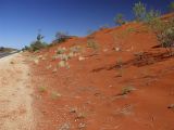 Uluru - Kata Tjuta, image of landscape/habitat.