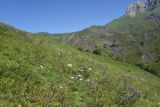 Image of landscape