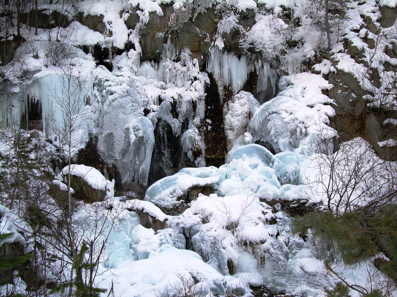 Шабры, image of landscape/habitat.