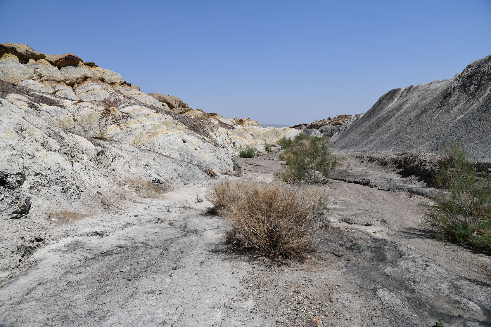 Мадыген, image of landscape/habitat.