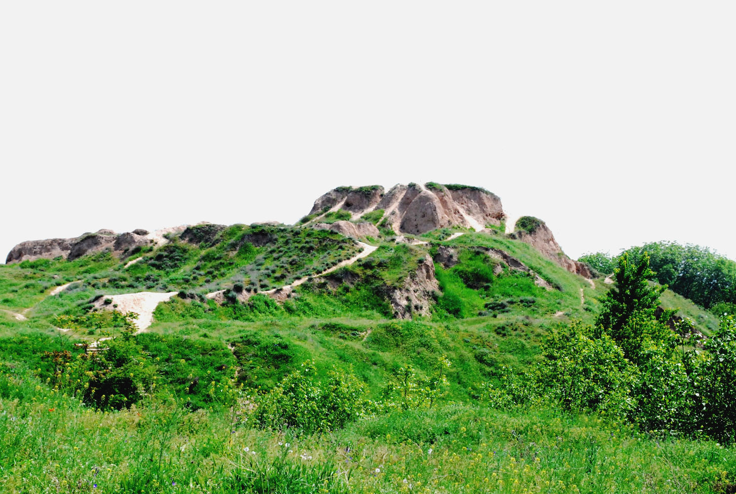 Актепа Юнусабадская, image of landscape/habitat.