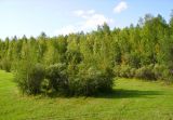 Image of landscape