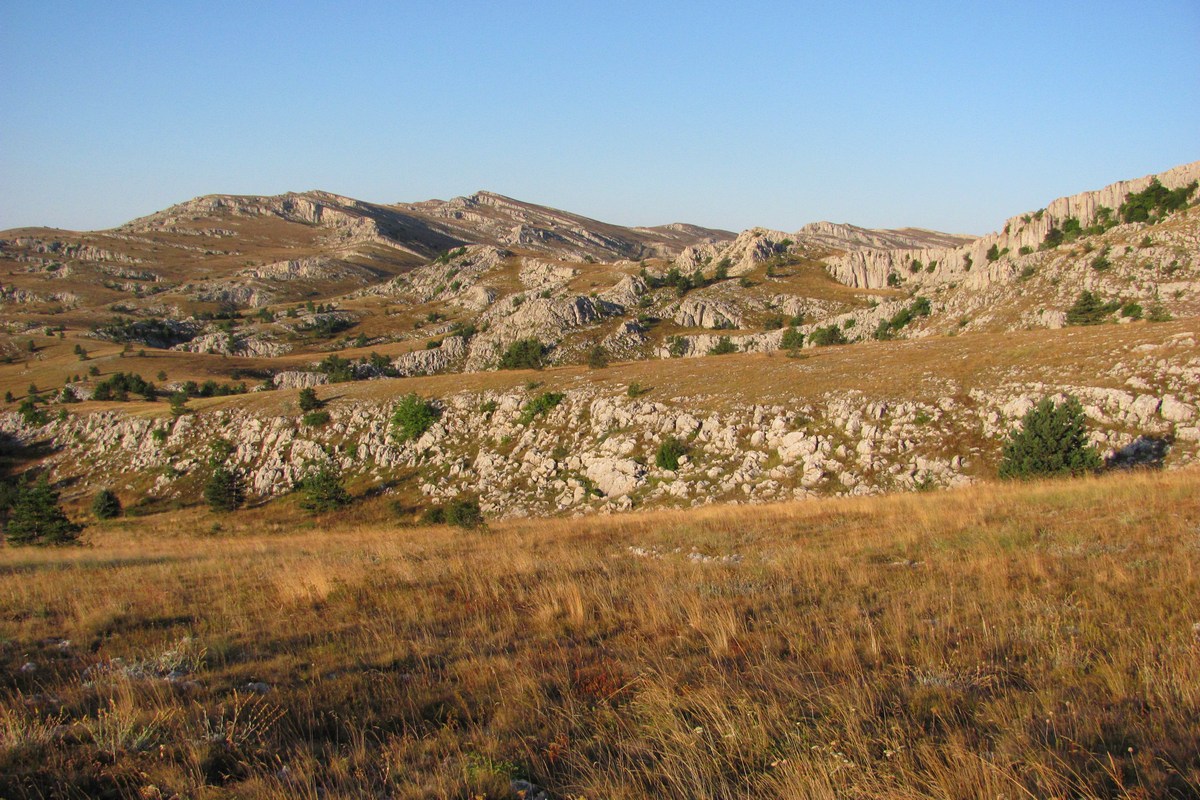 Бабуган, image of landscape/habitat.