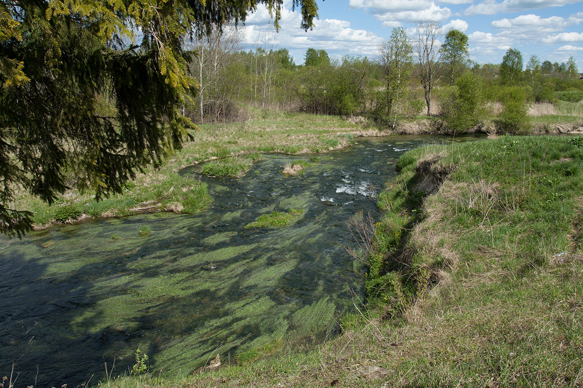 Окрестности Пудости, image of landscape/habitat.