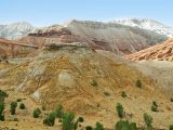 Image of landscape