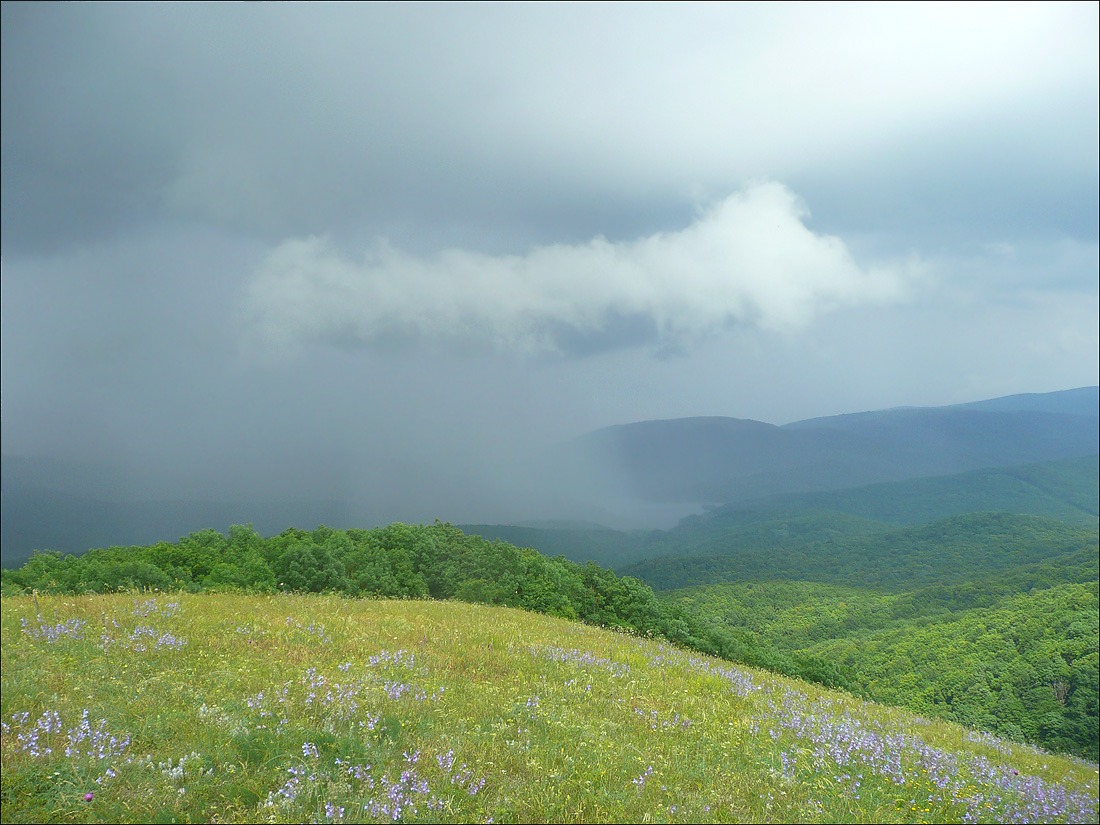 Гора Лысая-Новороссийская, image of landscape/habitat.