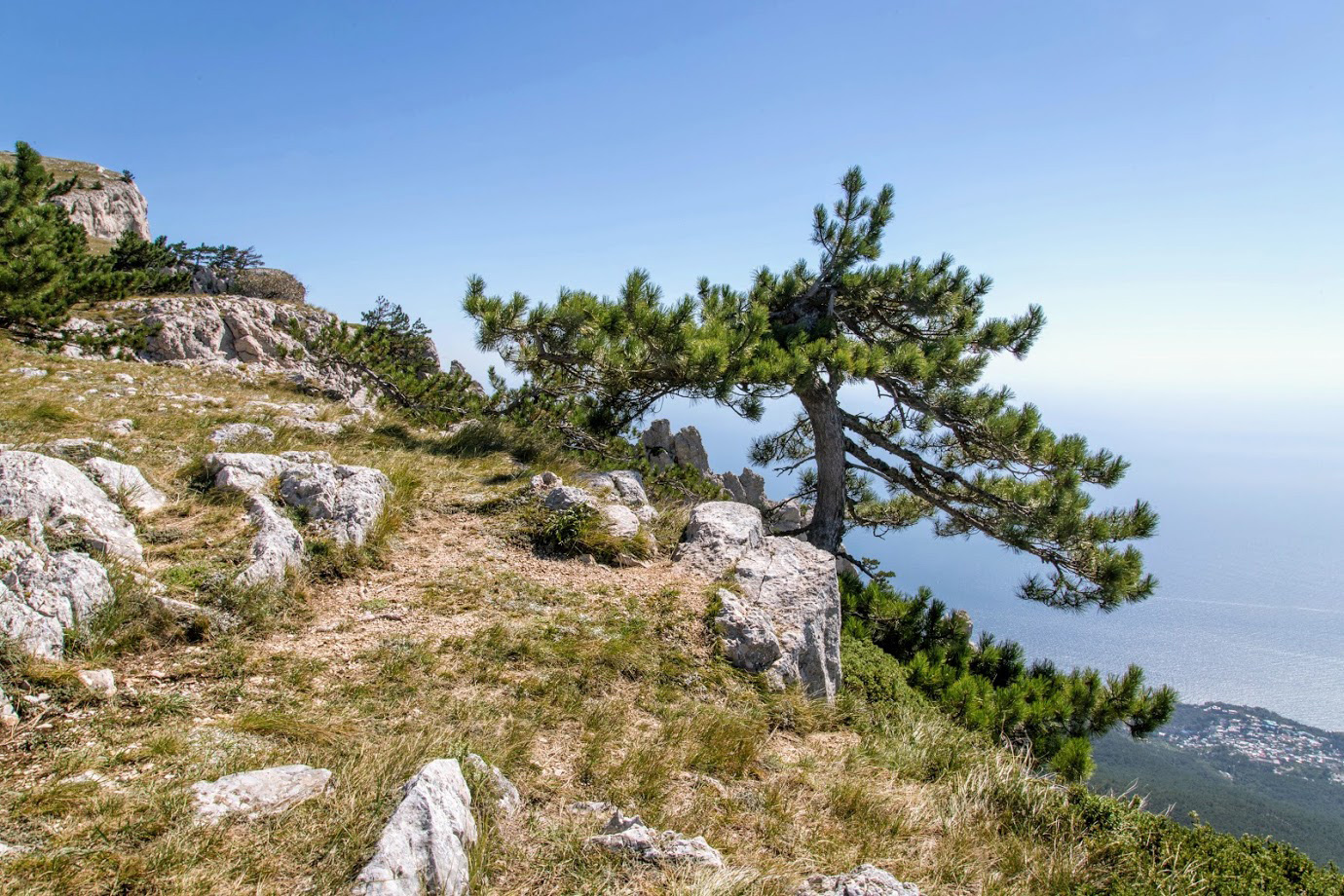 Ай-Петринская яйла, image of landscape/habitat.