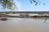Окрестности кишлака Айбулак, image of landscape/habitat.
