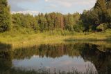 Окрестности деревни Чёлохово, image of landscape/habitat.