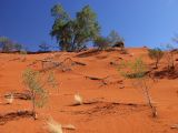 Image of landscape