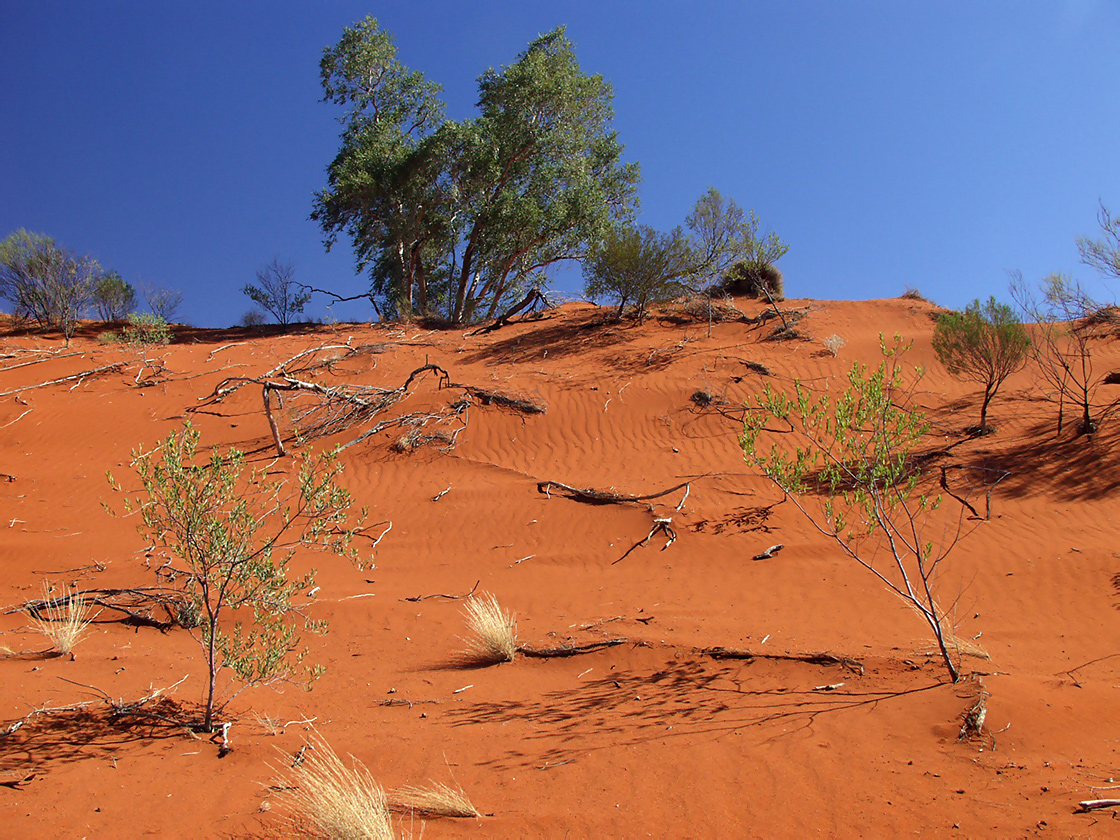 Uluru - Kata Tjuta, изображение ландшафта.