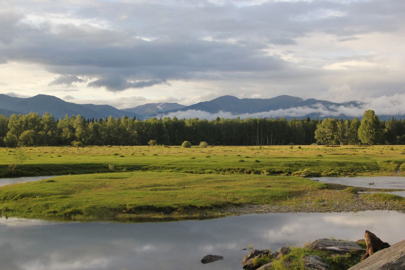 Окрестности села Верх-Уймон, image of landscape/habitat.