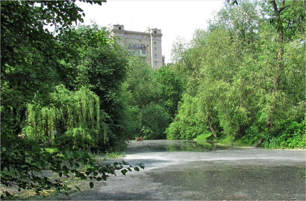 Аптекарский огород, image of landscape/habitat.