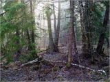 Image of landscape