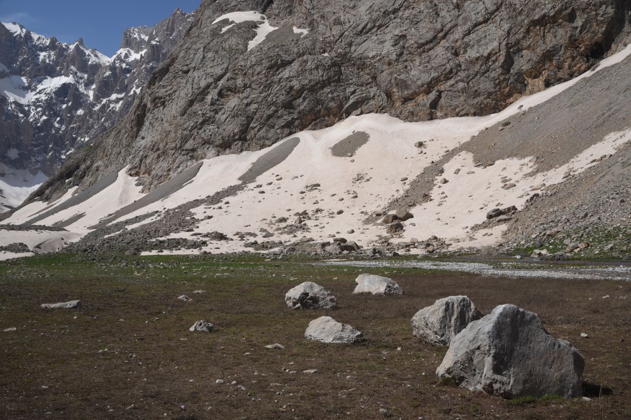 2 км от базового лагеря, image of landscape/habitat.