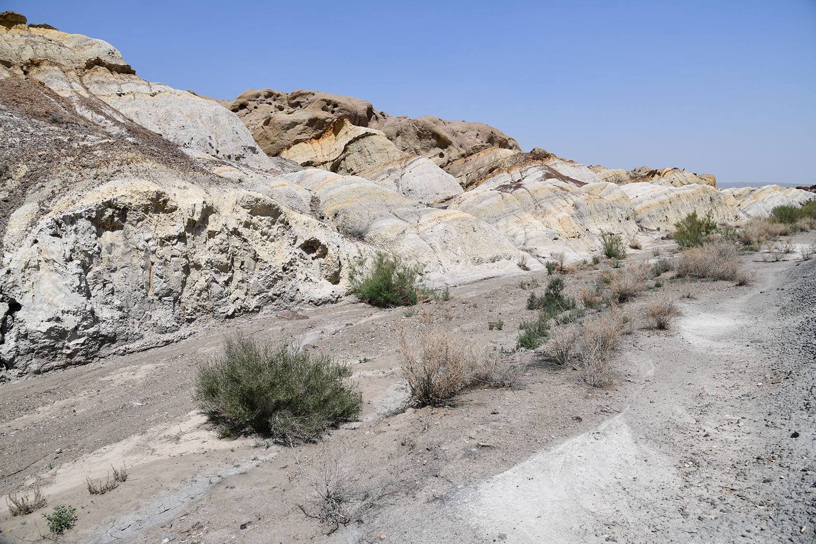 Мадыген, image of landscape/habitat.