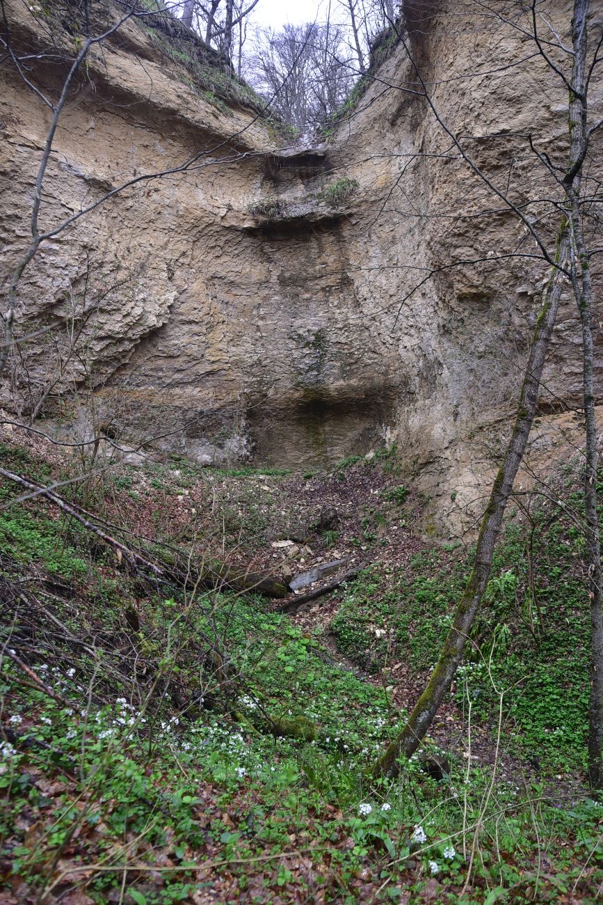 Ущелье Холодного ручья, изображение ландшафта.