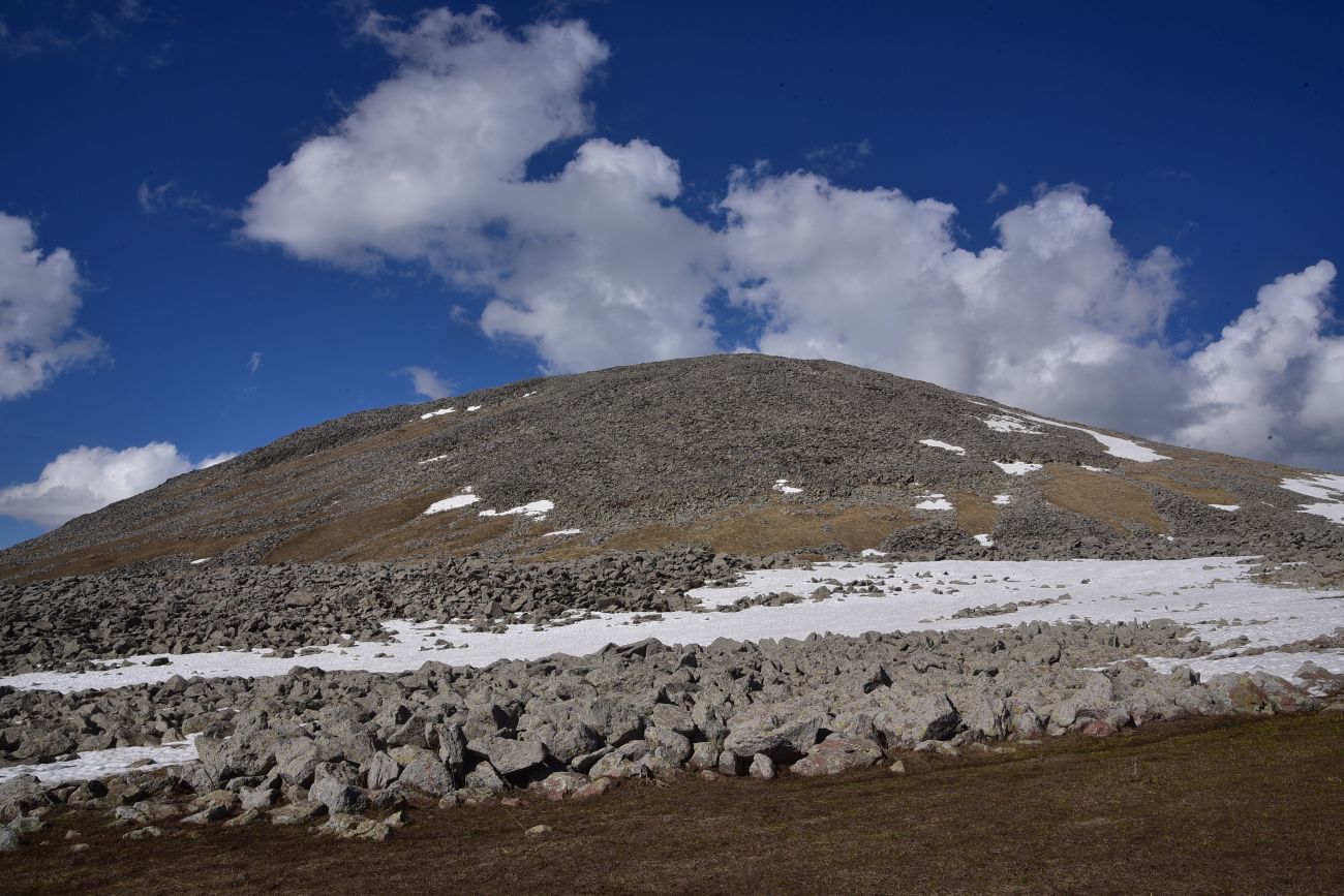 Гора Патара Абули, image of landscape/habitat.