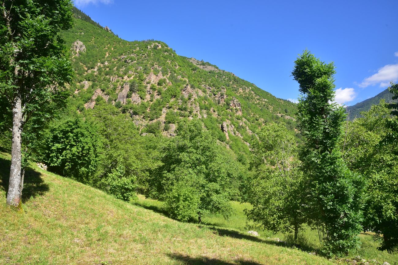 Окрестности храма Отхта, image of landscape/habitat.