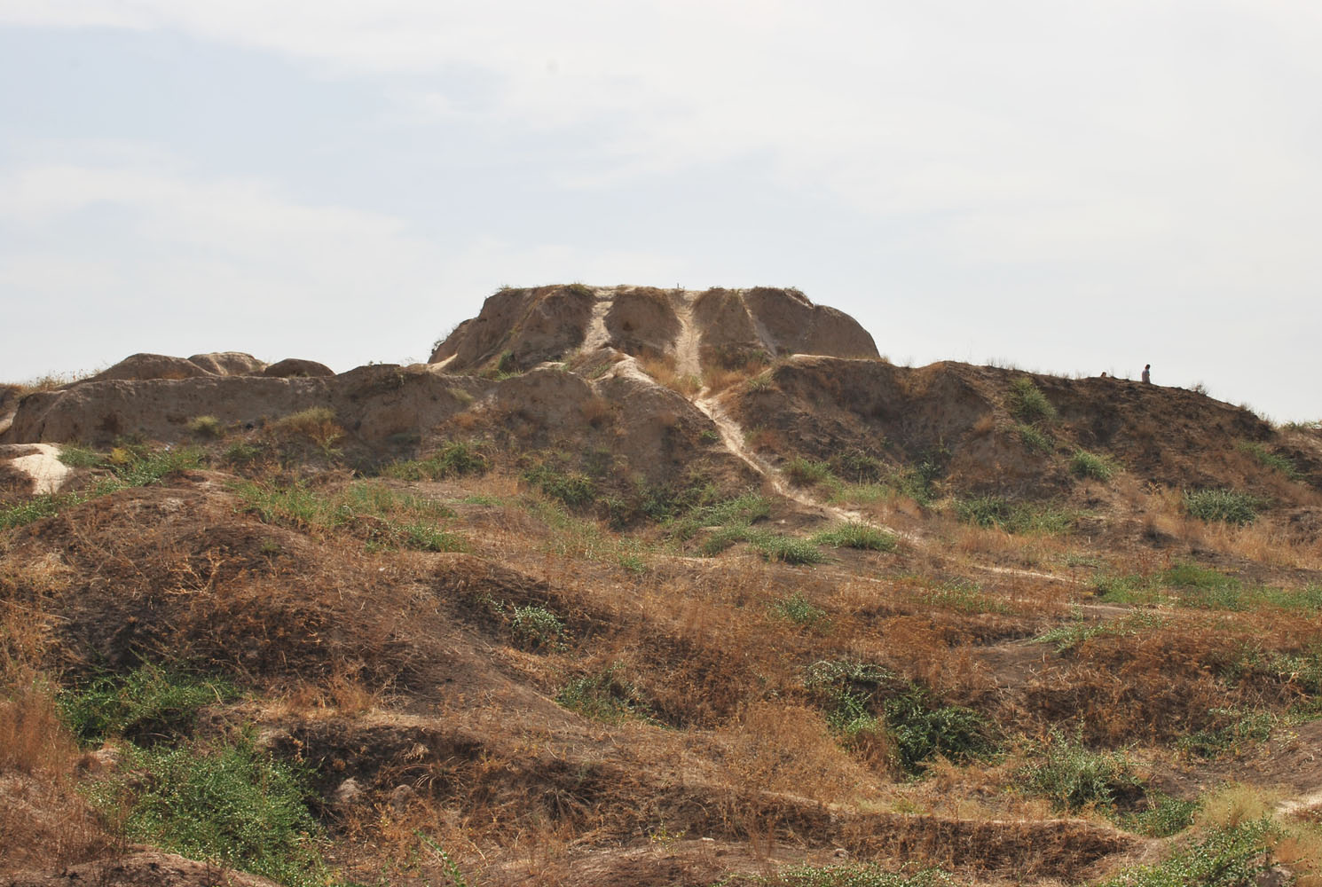 Актепа Юнусабадская, image of landscape/habitat.