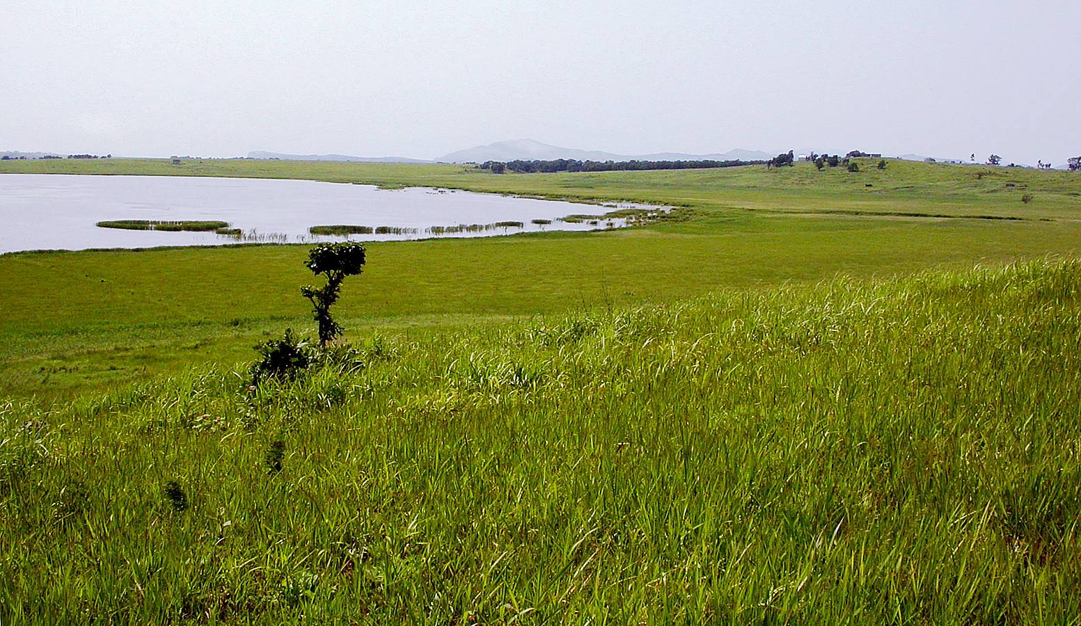 Озеро Карасье, image of landscape/habitat.