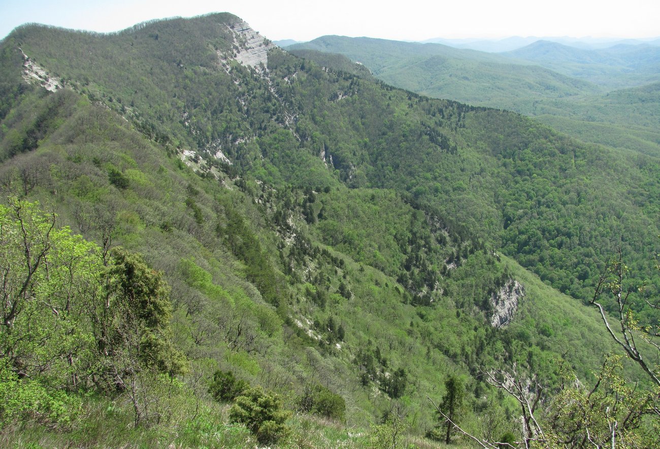 Гора Западный Папай, image of landscape/habitat.