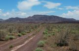Image of landscape