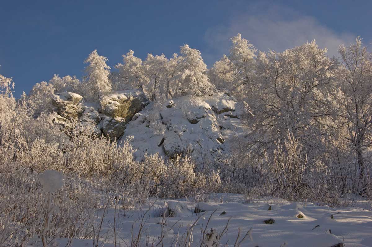 Большой Шатак, image of landscape/habitat.