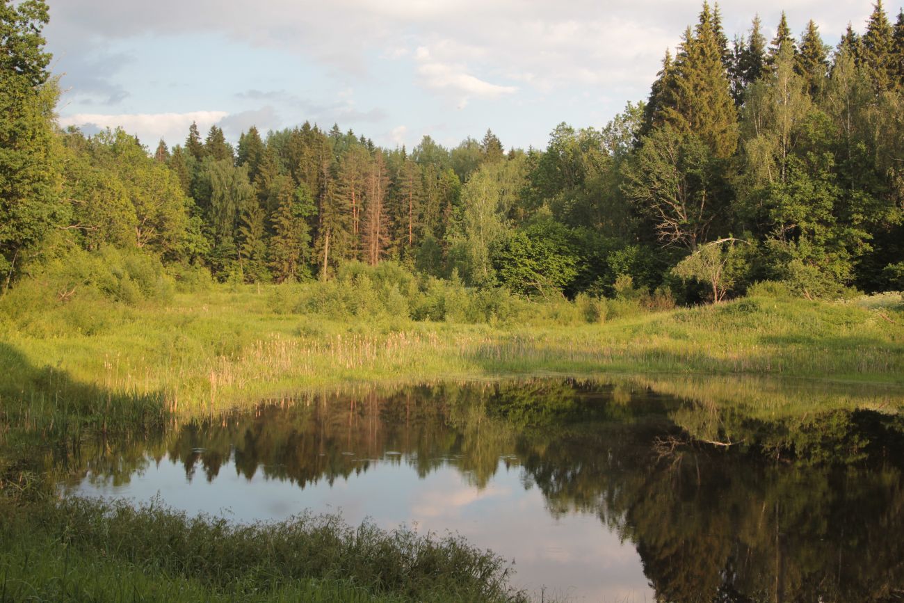 Окрестности деревни Чёлохово, image of landscape/habitat.