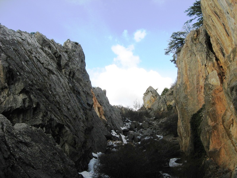 Никитская расселина, image of landscape/habitat.