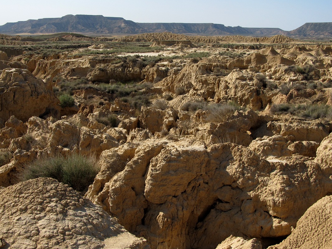 Барденас Реалес, image of landscape/habitat.