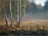 Image of landscape