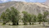 Ирхтский залив, image of landscape/habitat.