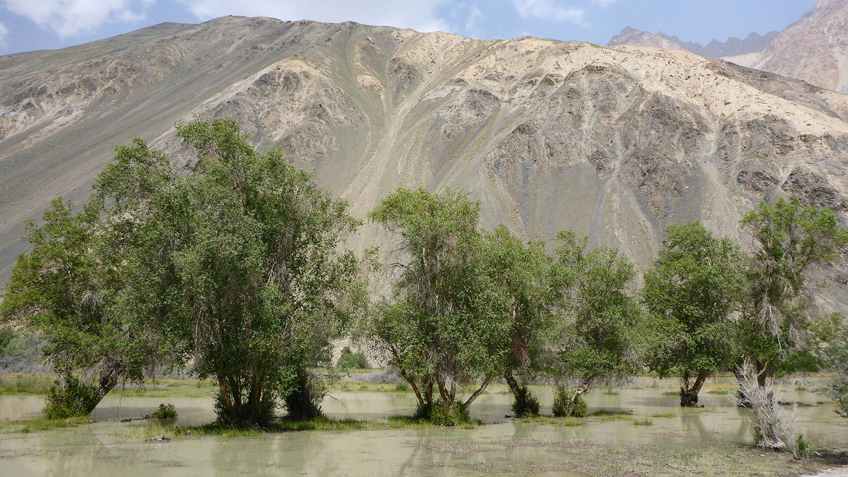 Ирхтский залив, image of landscape/habitat.