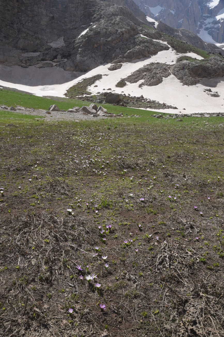 2 км от базового лагеря, image of landscape/habitat.