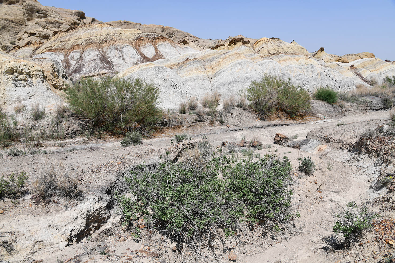 Мадыген, image of landscape/habitat.