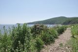 Остров Шкота, image of landscape/habitat.