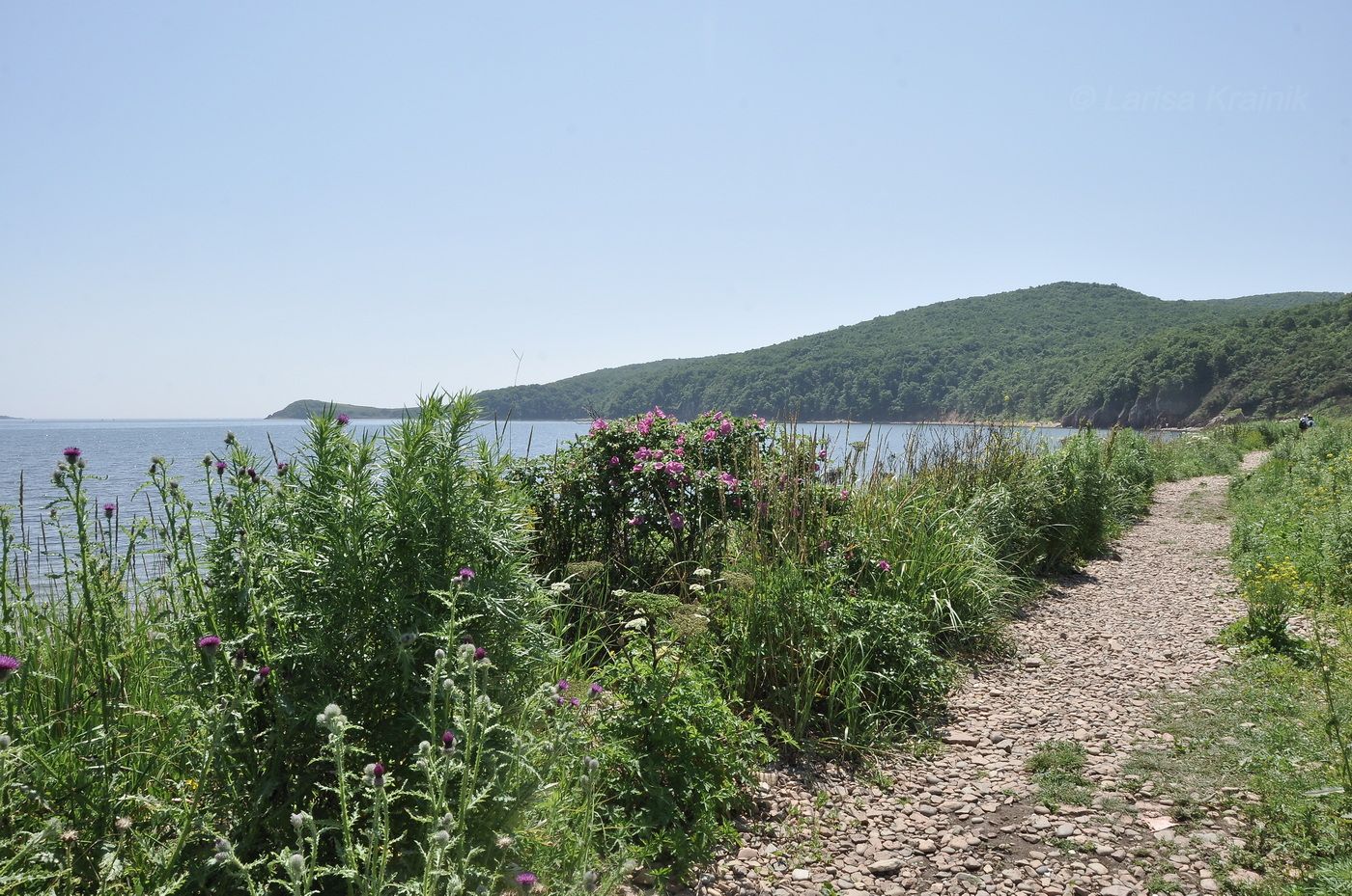 Остров Шкота, image of landscape/habitat.
