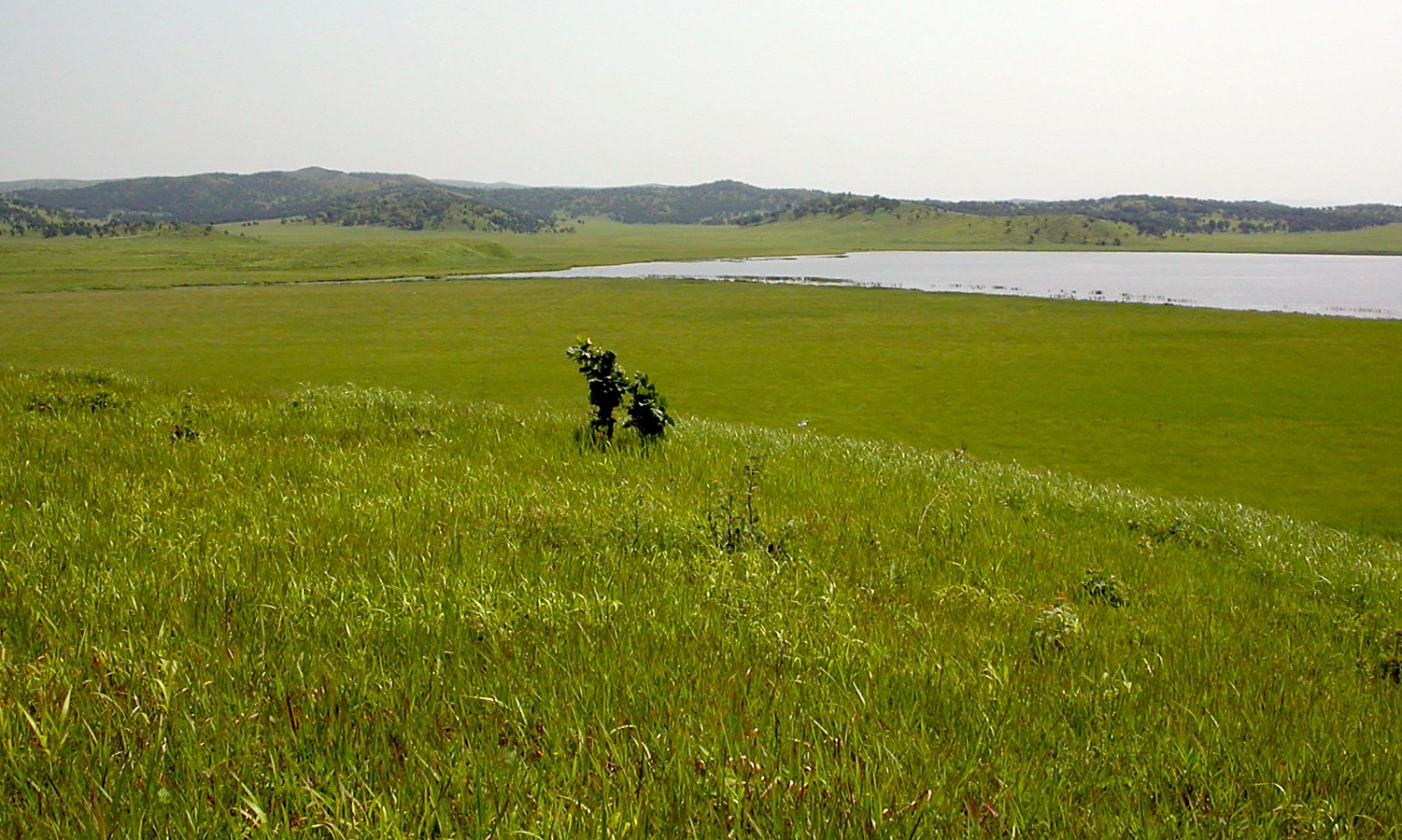 Озеро Карасье, изображение ландшафта.
