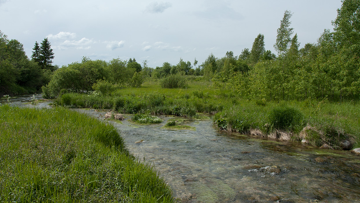 Окрестности Пудости, image of landscape/habitat.