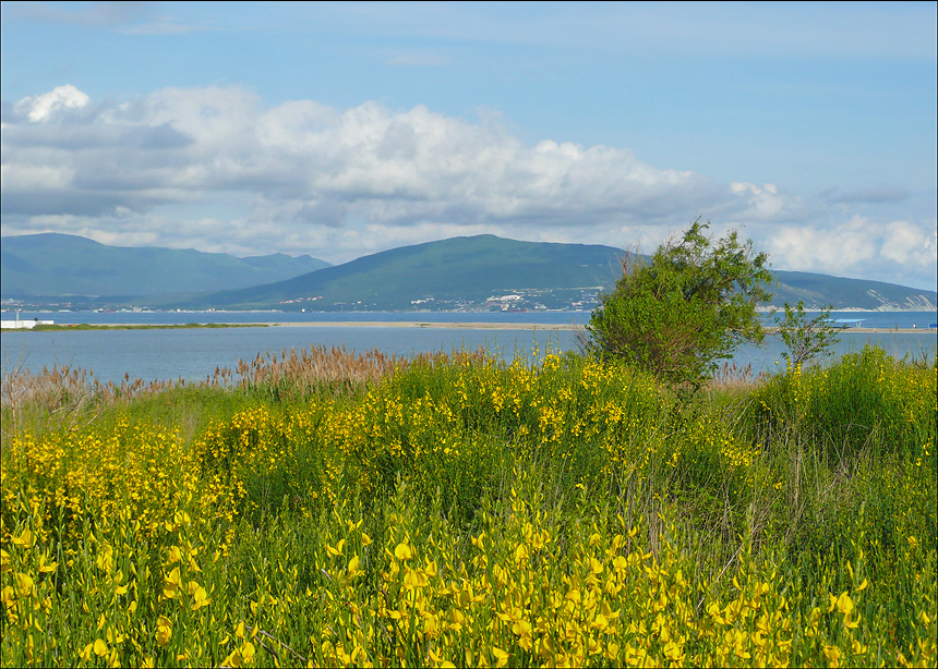 Окрестности Суджукской лагуны, image of landscape/habitat.