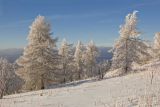 Большой Шатак, image of landscape/habitat.