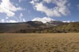 Image of landscape